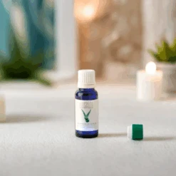 Aceites Esenciales. Aloe Vera - Massada -Cosmeticos24h Tienda de ventas Aceites Esenciales Aloe Vera Massada 1948