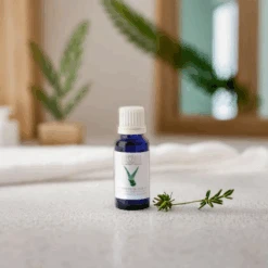 Aceites Esenciales. Aloe Vera - Massada -Cosmeticos24h Tienda de ventas Aceites Esenciales Aloe Vera Massada 1979